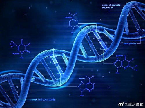 科技之光 環(huán)境科技如何重塑美容行業(yè)的未來(lái)